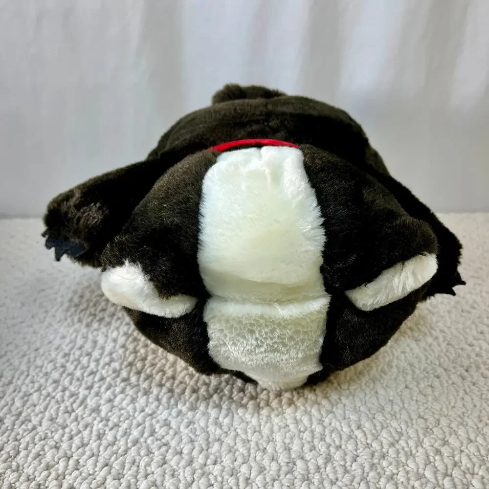 Wisconsin Bucky Badger Mascot Plush It's All Greek To Me 10